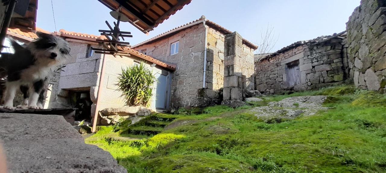 Willa Casa Padre Manuel Do Couto Vila Pouca de Aguiar Zewnętrze zdjęcie